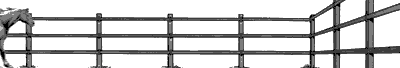 3382102.gif