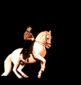 5527137.gif