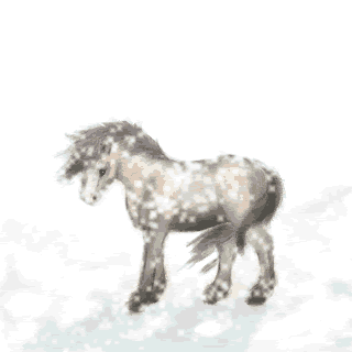 6683030.gif