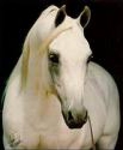 Obrázok
